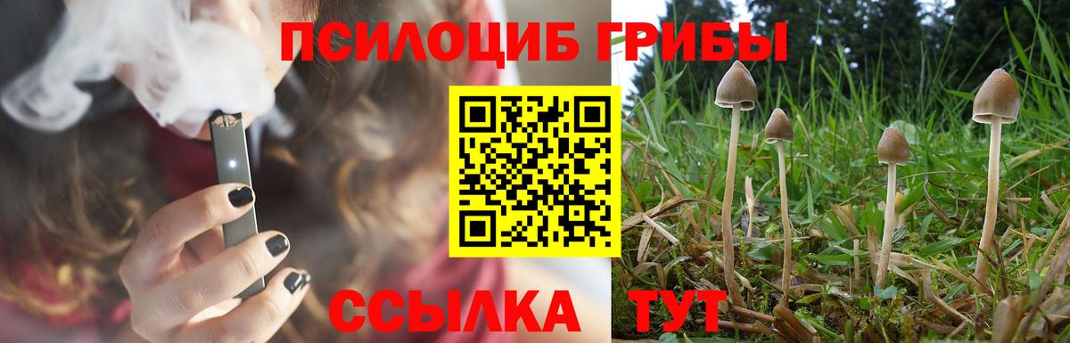Псилоцибиновые грибы GOLDEN TEACHER Ишимбай