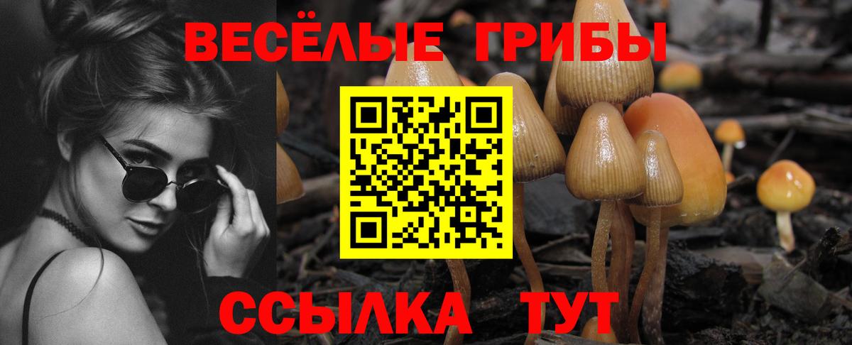 Псилоцибиновые грибы GOLDEN TEACHER  Вход с VPN  Ишимбай 